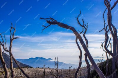 Embark on an Adventure: Top 10 Hikes in the Rocky Mountains and Where to Stay