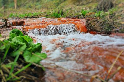 The Terroir of Whisky: How Nature’s Elements Shape Flavor