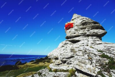 Trailblazing Through the Land of the Long White Cloud: New Zealand’s National Parks Exposed