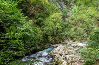 Whitewater Wonders: A Journey to the World’s Premier Rafting Destinations