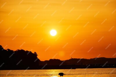 ادفع حدودك: كشف النقاب عن أفضل الوجهات الرياضية المغامرة على الأرض